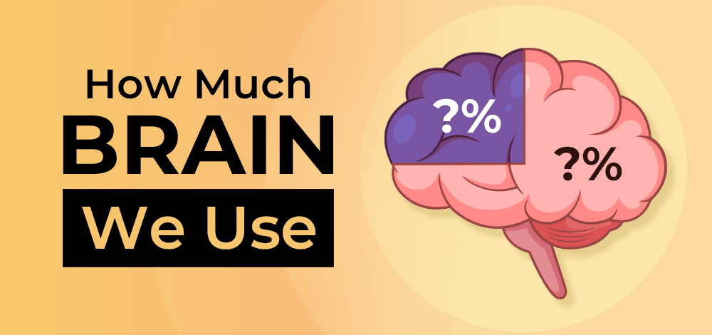 How Much of Your Brain Do You Actually Use?