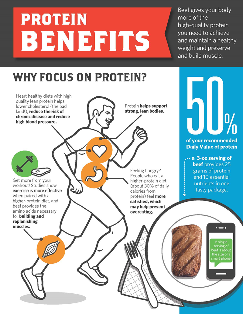 The Importance of Protein in Fitness and Training